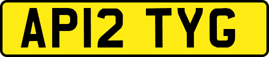 AP12TYG