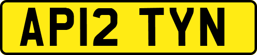 AP12TYN