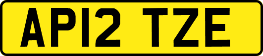 AP12TZE