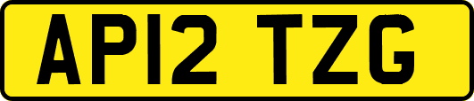 AP12TZG