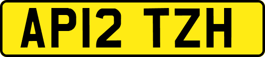 AP12TZH