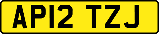 AP12TZJ