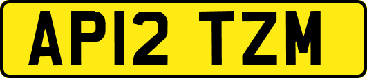 AP12TZM