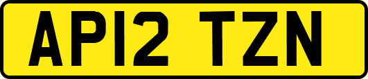 AP12TZN