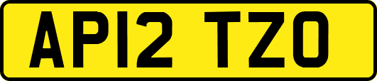 AP12TZO