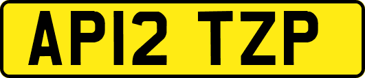 AP12TZP