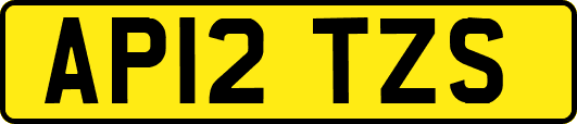 AP12TZS