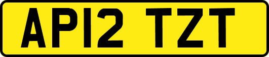 AP12TZT
