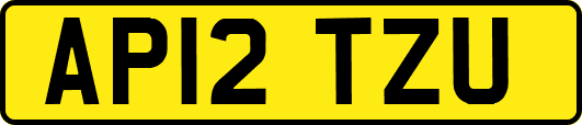 AP12TZU