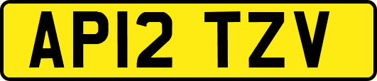 AP12TZV