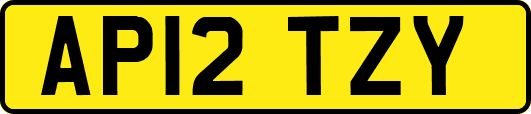 AP12TZY