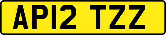 AP12TZZ