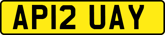 AP12UAY