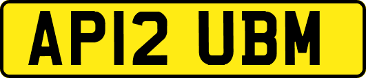 AP12UBM