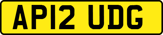 AP12UDG