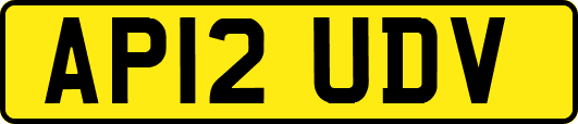 AP12UDV