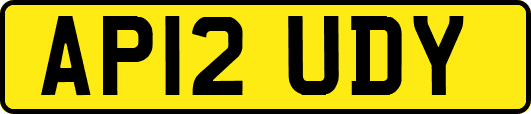 AP12UDY