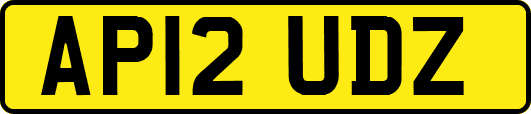 AP12UDZ
