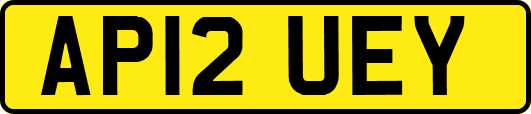 AP12UEY