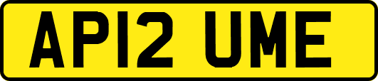 AP12UME