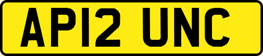 AP12UNC