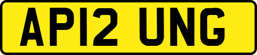AP12UNG