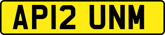 AP12UNM