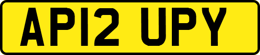 AP12UPY