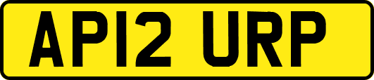 AP12URP