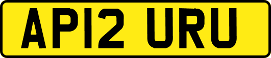 AP12URU