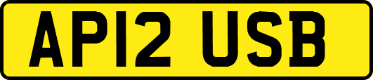 AP12USB