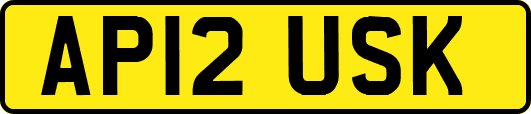 AP12USK