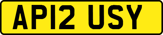 AP12USY