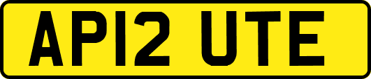 AP12UTE