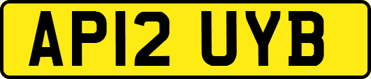 AP12UYB