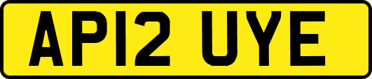 AP12UYE