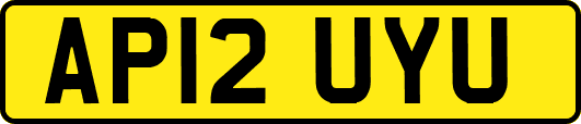 AP12UYU