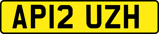AP12UZH