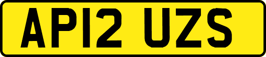 AP12UZS