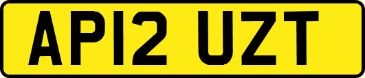 AP12UZT