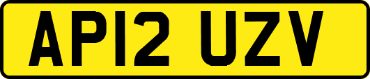 AP12UZV