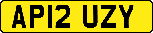 AP12UZY