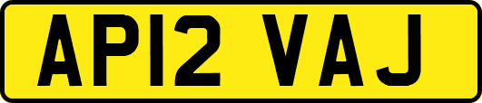 AP12VAJ