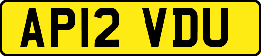 AP12VDU