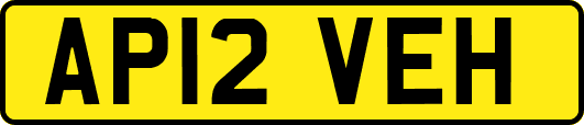 AP12VEH