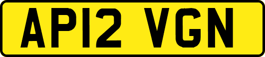 AP12VGN