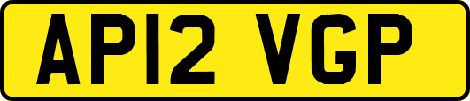 AP12VGP