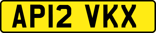 AP12VKX