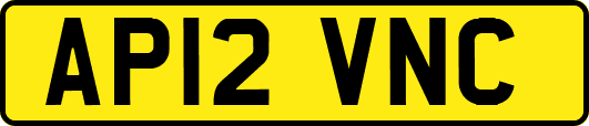 AP12VNC