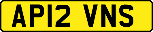 AP12VNS